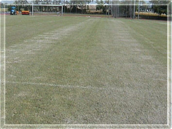 Campo sabbiato
