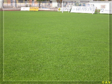 Campi da calcio. Manutenzione e costruzione campi da calcio e calcetto