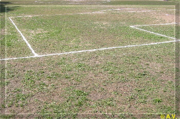 Campo usurato